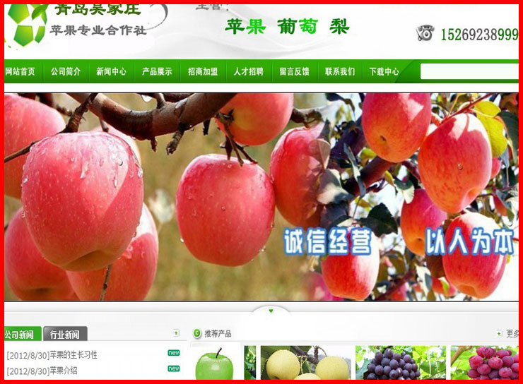 青岛吴家庄苹果合作社，莱西网站制作，莱西做网站，莱西网页制作