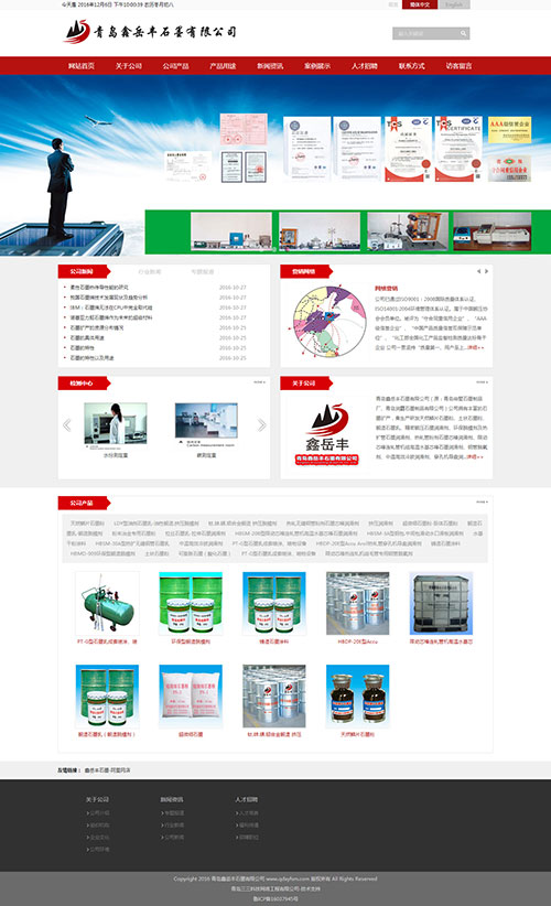 莱西做网站案例