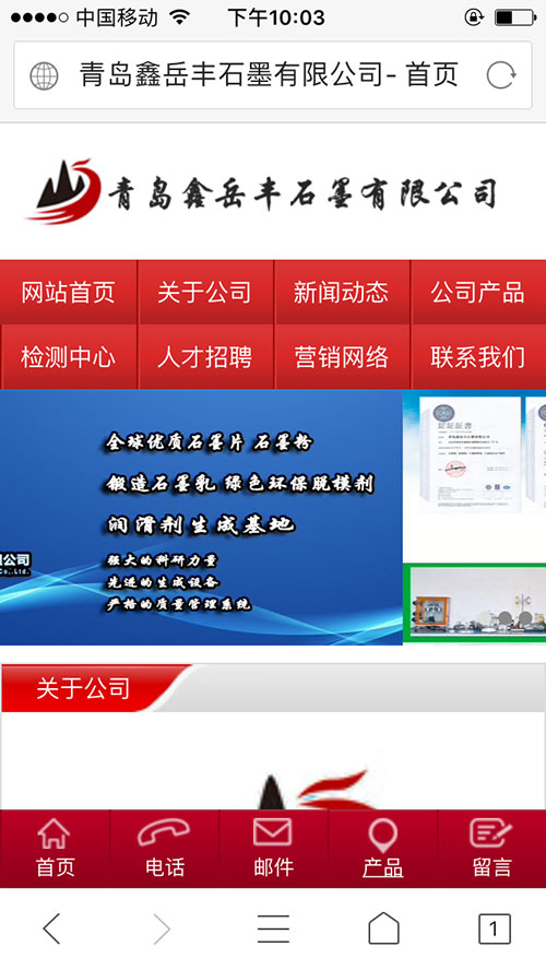 莱西做网站电脑板手机版案例